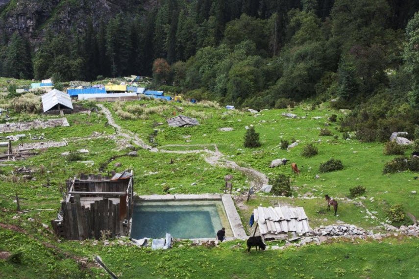 Khirganga National Park, Kullu, Himachal Pradesh - Vushii.com